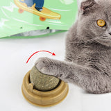 Natural Catnip Wall Stick-on Ball Toy
