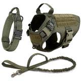 Large Dog Training Harness and  Leash Set