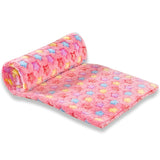 Soft Fluffy Warm Pet Blanket