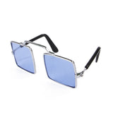Pet Glasses