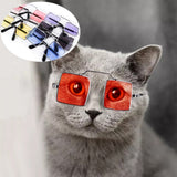 Pet Glasses