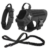 Large Dog Training Harness and  Leash Set