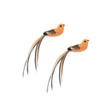 Interactive Feather Bird Cat Toy