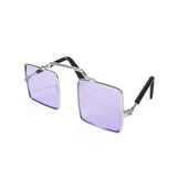 Pet Glasses