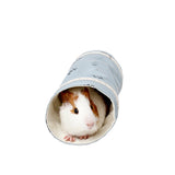 Small Pet Tunnel